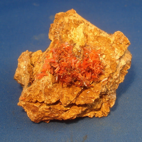 CROCOITE. The Adelaide Mine, Dundas, Tasmania. 25x50x66mm (M918)